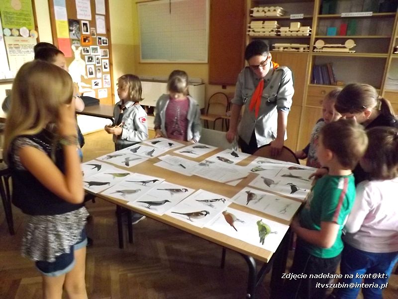 Czy ktoś widział Dziub Dziuba?