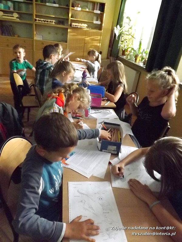 Czy ktoś widział Dziub Dziuba?