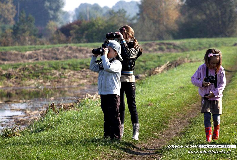 Czy ktoś widział Dziub Dziuba?
