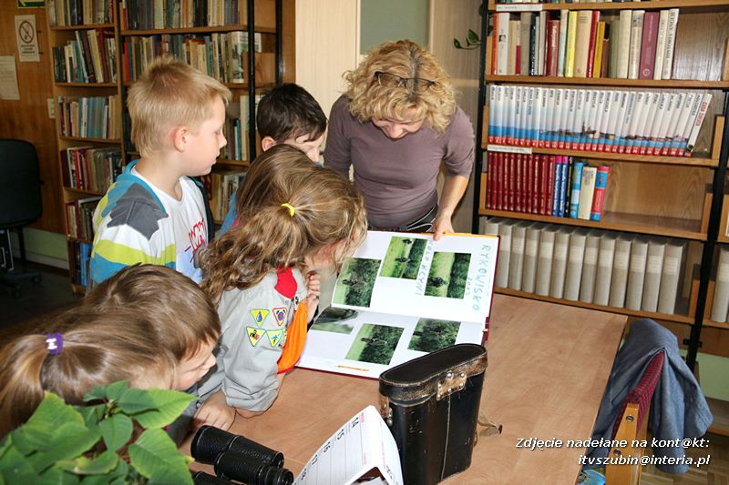 Czy ktoś widział Dziub Dziuba?