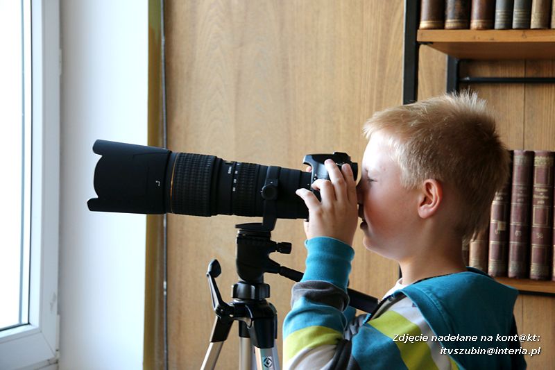 Czy ktoś widział Dziub Dziuba?