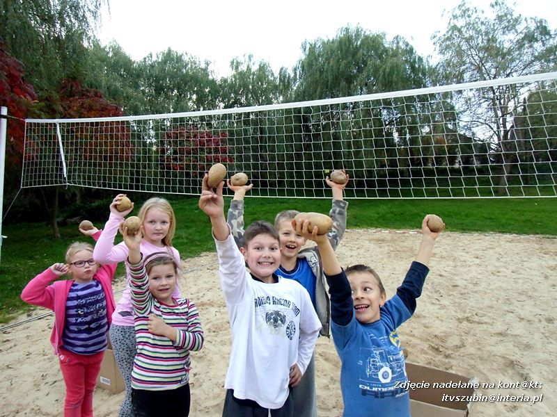 W krainie pieczonego ziemniaka