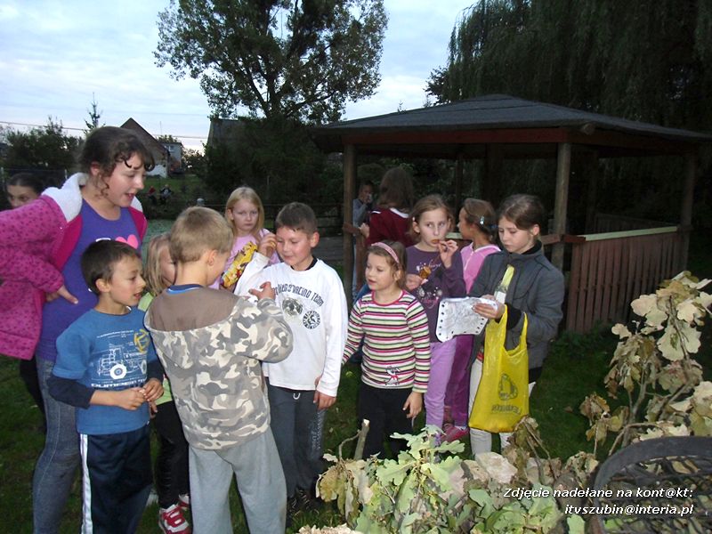 W krainie pieczonego ziemniaka