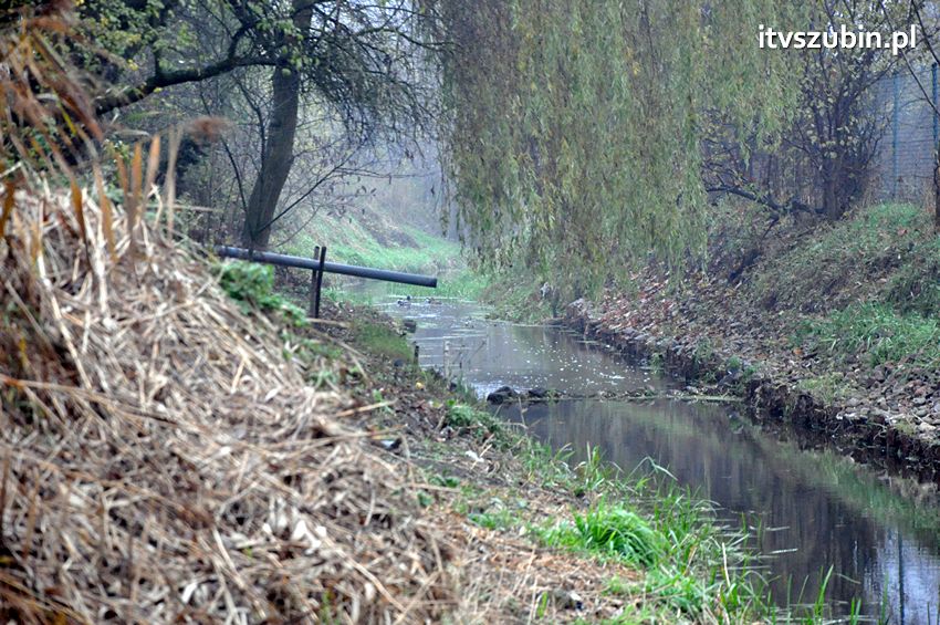 Znaleziono zwłoki poszukiwane od 10 dni mieszkanki Szubina
