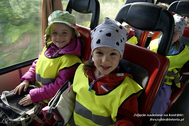Gumisie na wycieczce w Nakle nad Notecią