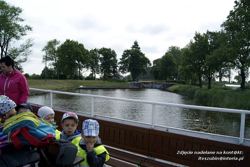 Gumisie na wycieczce w Nakle nad Notecią