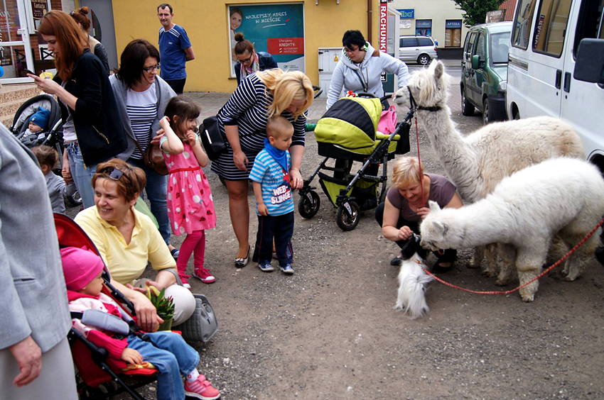 Pierwsze urodziny Butiku NINO