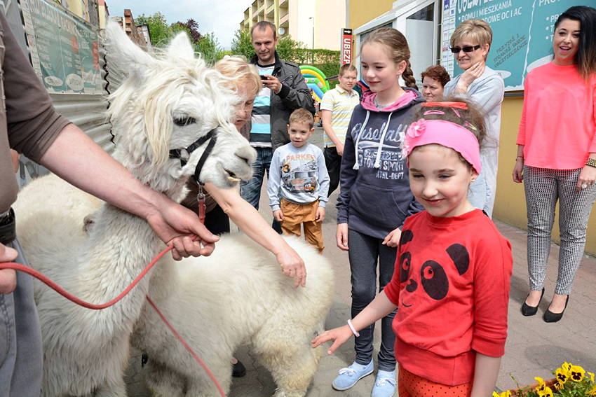 Pierwsze urodziny Butiku NINO