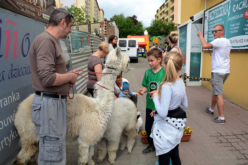 Pierwsze urodziny Butiku NINO