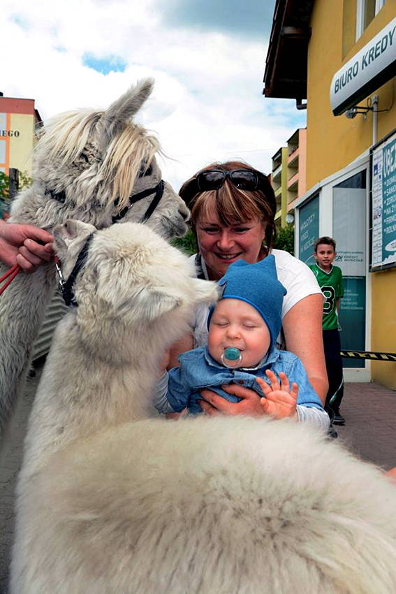 Pierwsze urodziny Butiku NINO