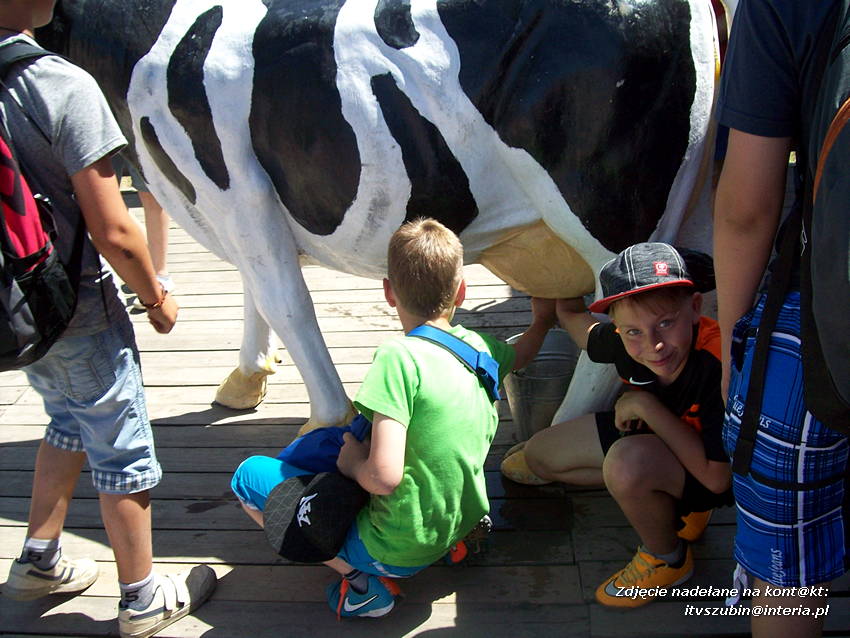 Dzień Dziecka w Szaradowie