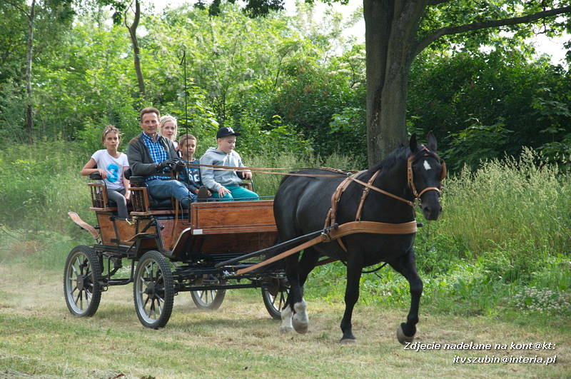 IV Festyn Parafialny w Samoklęskach Dużych