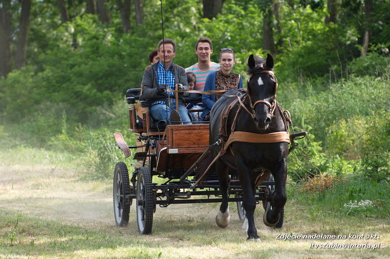 IV Festyn Parafialny w Samoklęskach Dużych