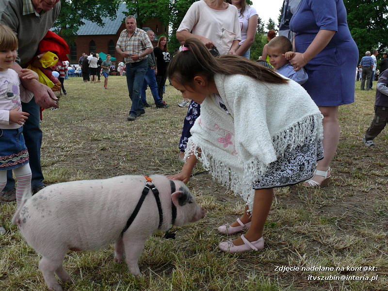 IV Festyn Parafialny w Samoklęskach Dużych