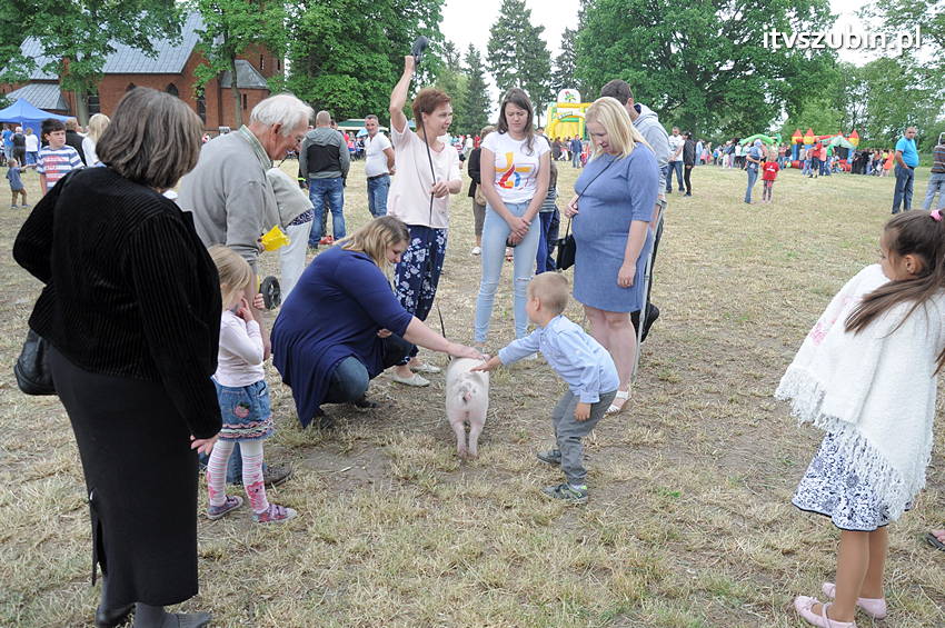 IV Festyn Parafialny w Samoklęskach Dużych