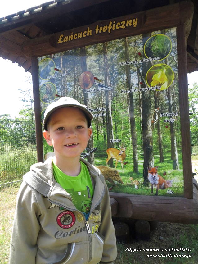 Kim będę, gdy dorosnę? - czyli tydzień zawodów u Misiaków z szubińskiego Słoneczka