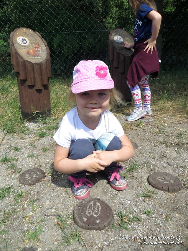 Kim będę, gdy dorosnę? - czyli tydzień zawodów u Misiaków z szubińskiego Słoneczka