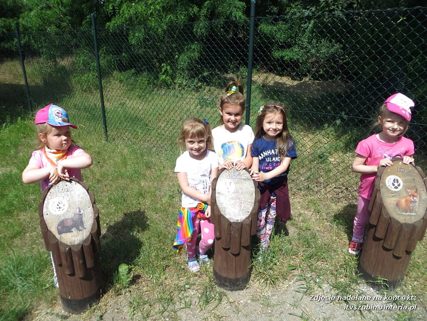Kim będę, gdy dorosnę? - czyli tydzień zawodów u Misiaków z szubińskiego Słoneczka