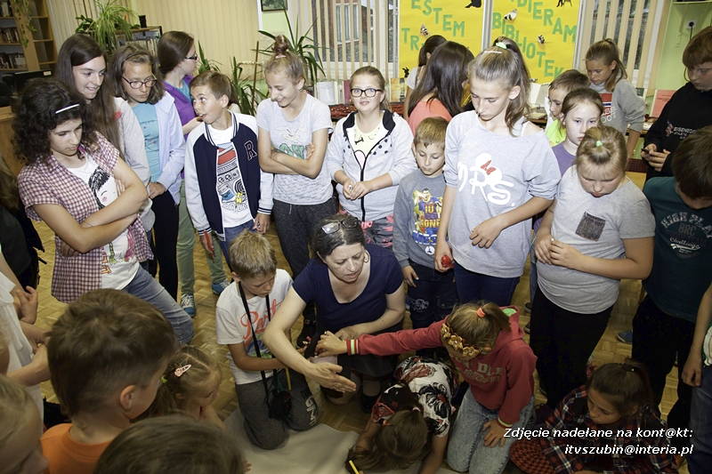 Maraton w szubińskiej bibliotece