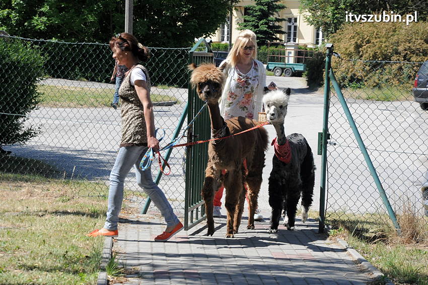 Festyn Rodzinny w ZSS Szubin