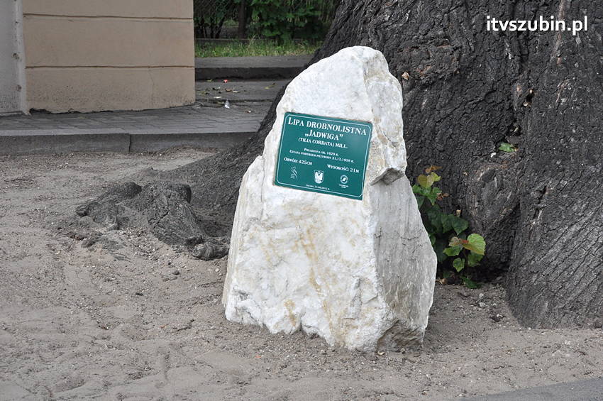  Parada mieszkańców Szubina - 