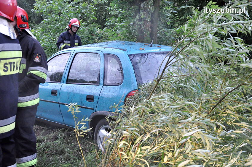 Pijany kierowca zakończył jazdę na płocie przydrożnej posesji