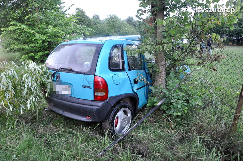 Pijany kierowca zakończył jazdę na płocie przydrożnej posesji