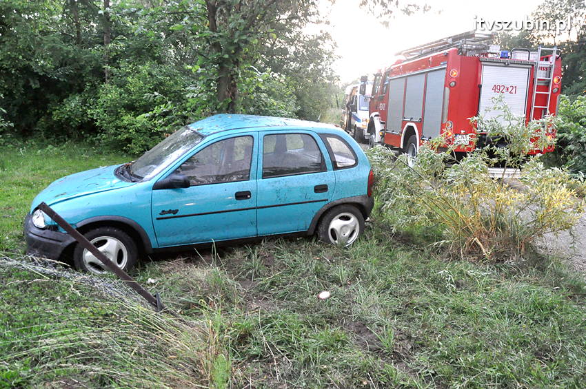 Pijany kierowca zakończył jazdę na płocie przydrożnej posesji