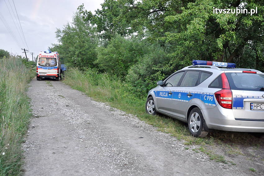 Pijany kierowca zakończył jazdę na płocie przydrożnej posesji