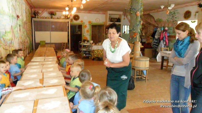 Pszczółki w Zagrodzie Pałuckiej w Gąsawie