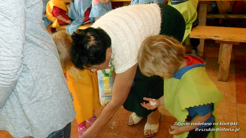 Pszczółki w Zagrodzie Pałuckiej w Gąsawie