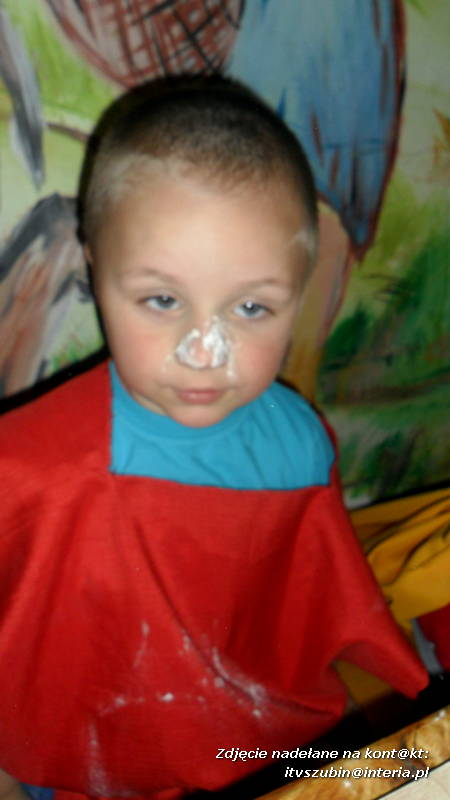 Pszczółki w Zagrodzie Pałuckiej w Gąsawie