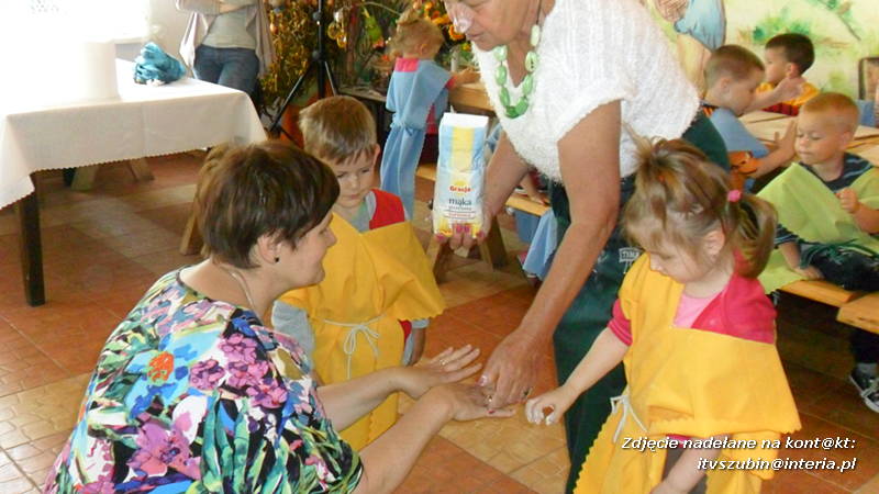 Pszczółki w Zagrodzie Pałuckiej w Gąsawie