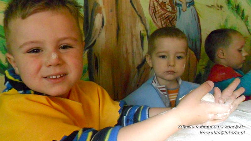 Pszczółki w Zagrodzie Pałuckiej w Gąsawie