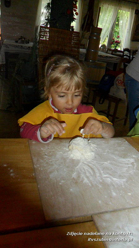 Pszczółki w Zagrodzie Pałuckiej w Gąsawie