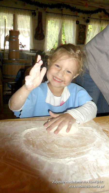 Pszczółki w Zagrodzie Pałuckiej w Gąsawie