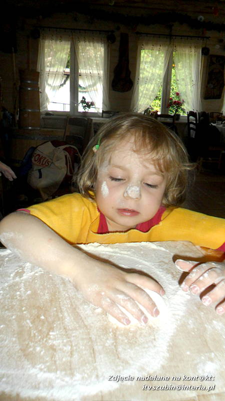 Pszczółki w Zagrodzie Pałuckiej w Gąsawie