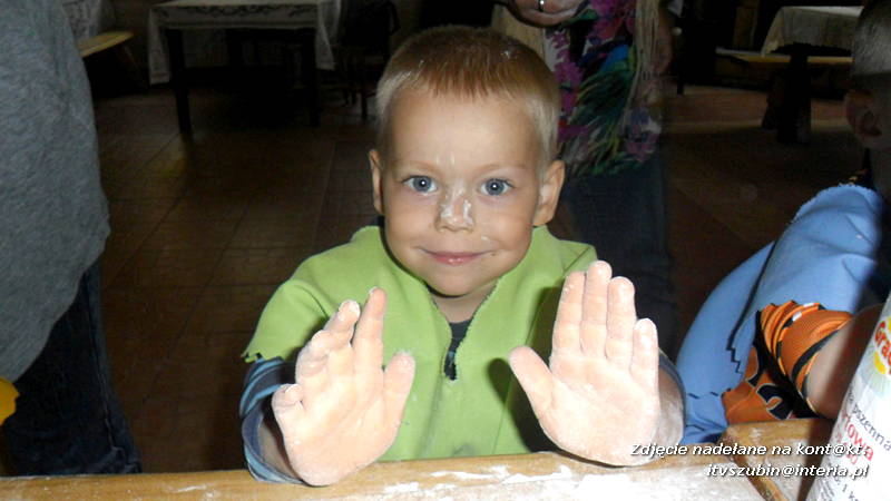 Pszczółki w Zagrodzie Pałuckiej w Gąsawie