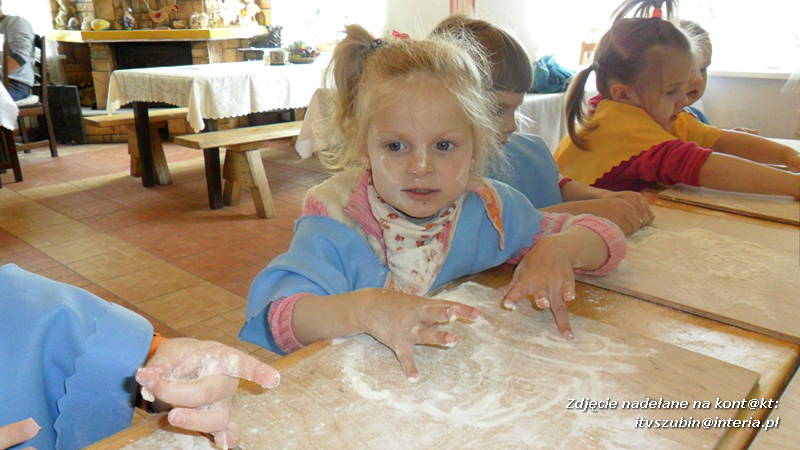 Pszczółki w Zagrodzie Pałuckiej w Gąsawie