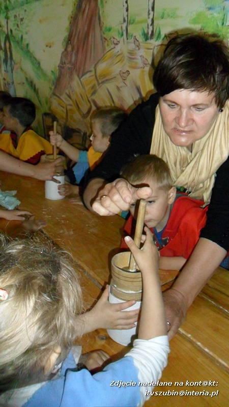 Pszczółki w Zagrodzie Pałuckiej w Gąsawie