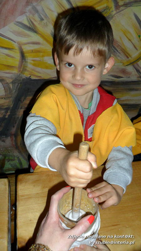 Pszczółki w Zagrodzie Pałuckiej w Gąsawie