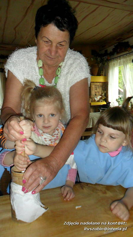 Pszczółki w Zagrodzie Pałuckiej w Gąsawie