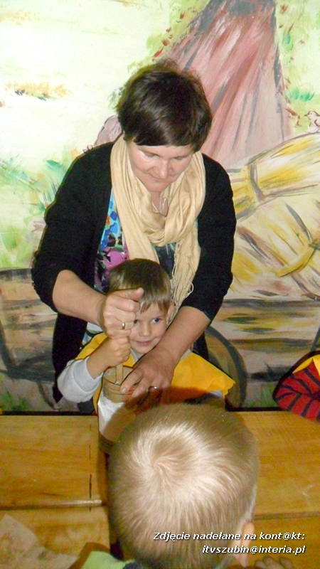 Pszczółki w Zagrodzie Pałuckiej w Gąsawie