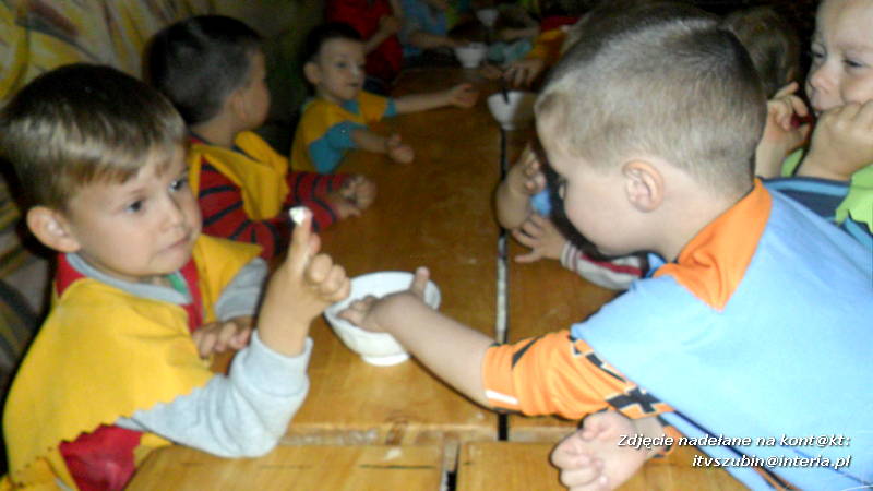 Pszczółki w Zagrodzie Pałuckiej w Gąsawie