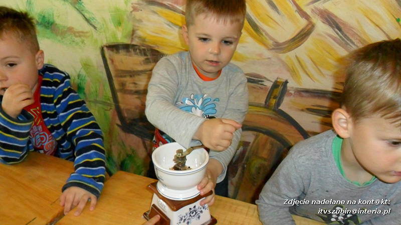 Pszczółki w Zagrodzie Pałuckiej w Gąsawie