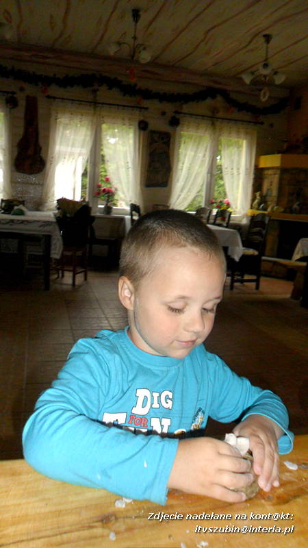 Pszczółki w Zagrodzie Pałuckiej w Gąsawie