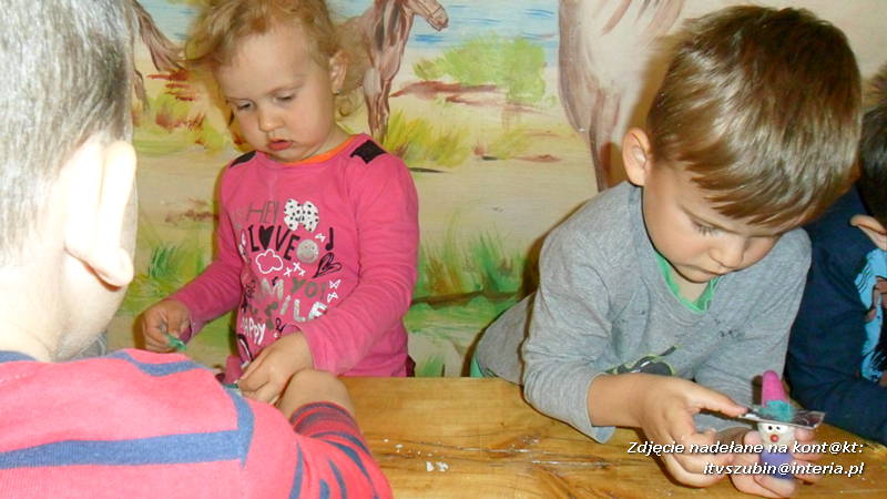 Pszczółki w Zagrodzie Pałuckiej w Gąsawie