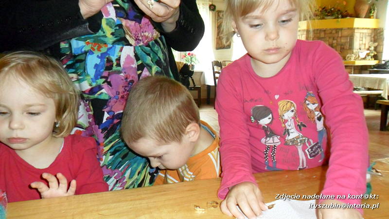 Pszczółki w Zagrodzie Pałuckiej w Gąsawie