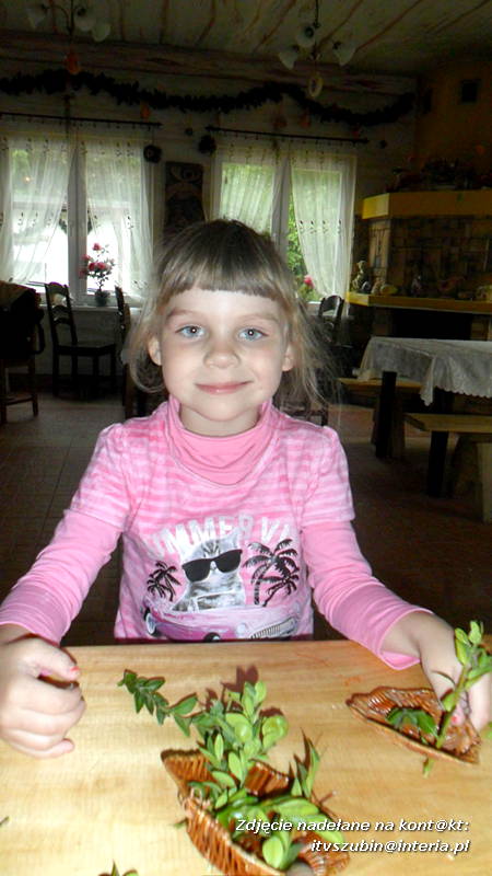 Pszczółki w Zagrodzie Pałuckiej w Gąsawie