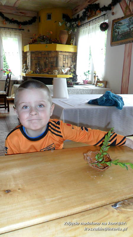 Pszczółki w Zagrodzie Pałuckiej w Gąsawie